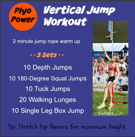 best vertical jump training program