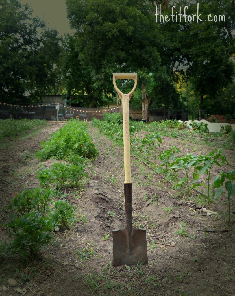 farm shovel thefitfork