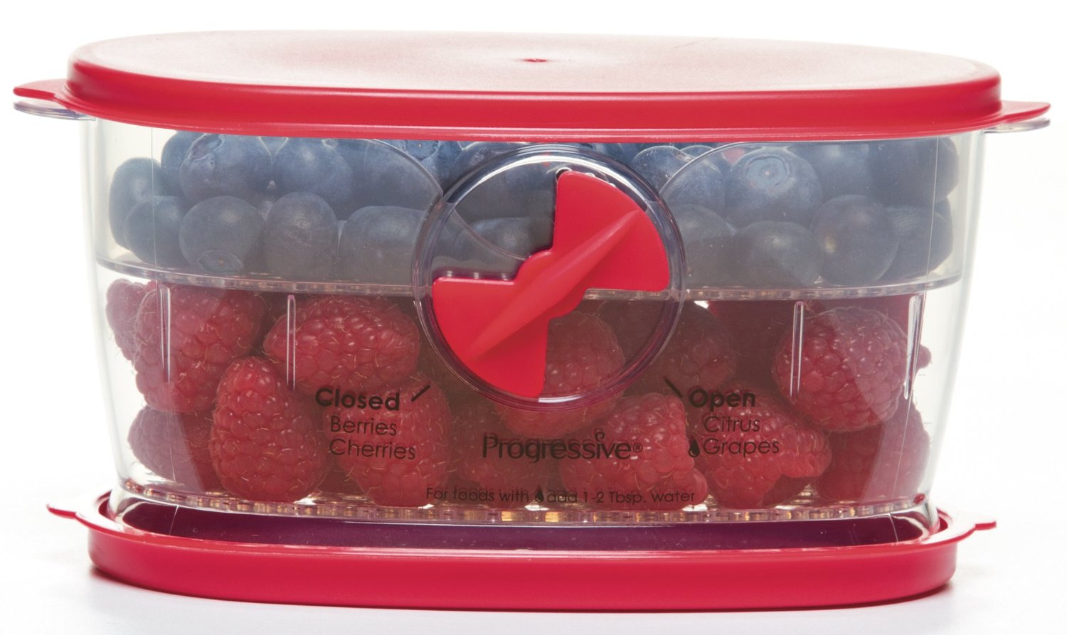berry storage container