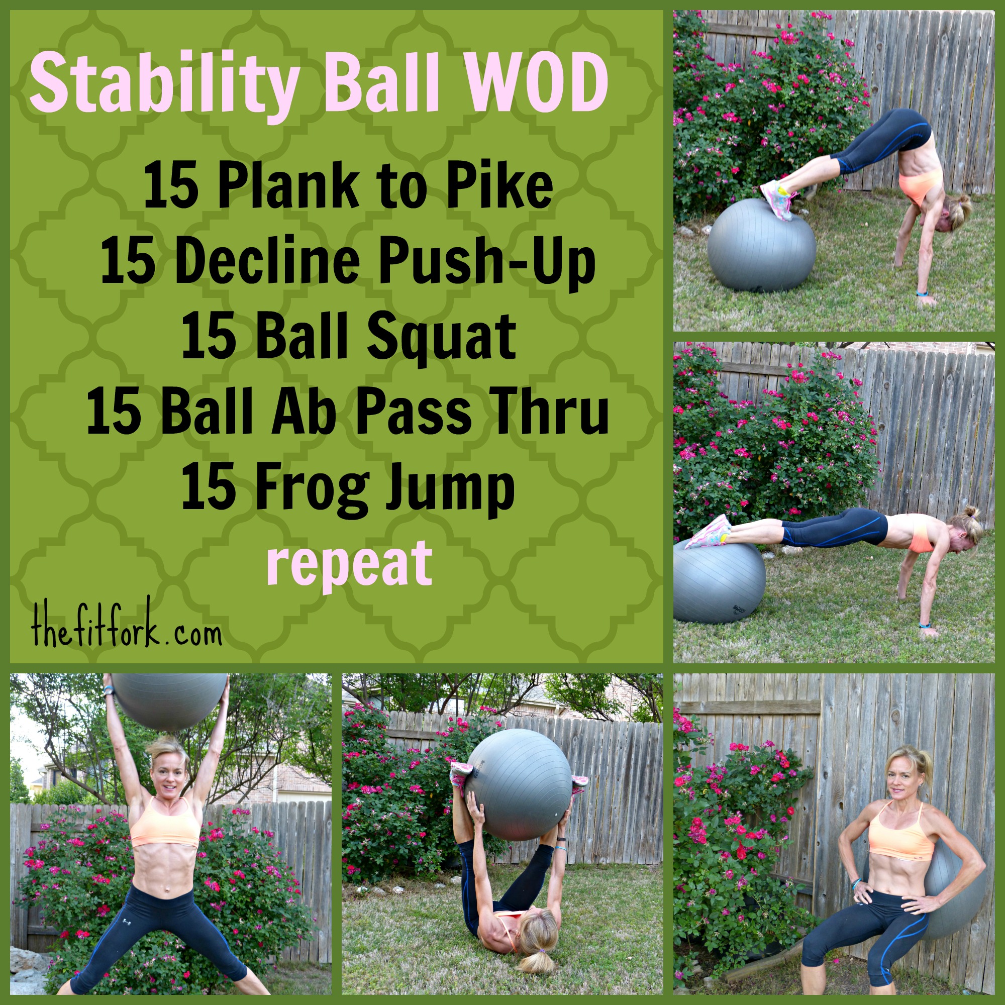 Stablity Ball Workout