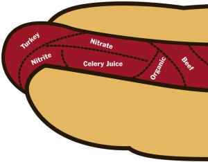 hotdog ingredients