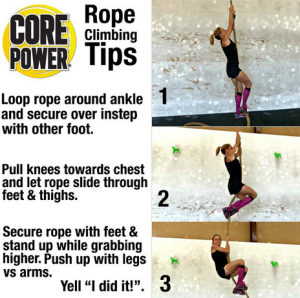 Ways to Stay Active This Holiday Season (Rope Climb, Anyone ...