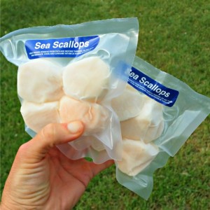 Sea Scallops from Sizzle Fish