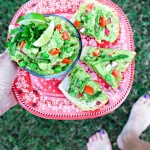 Skinny Garden Guacamole makes a light and nourishing lunch served on whole grain toast.