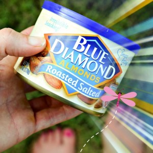 Blue Diamond Almonds - Lightly Salted