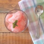 Sugar Free Watermelon Sorbet - Fitfluential.com