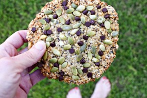 Chocolate Speckled and Seeded Breakfast Cookie
