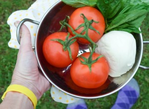 tomatoesmozerella in bowl feet