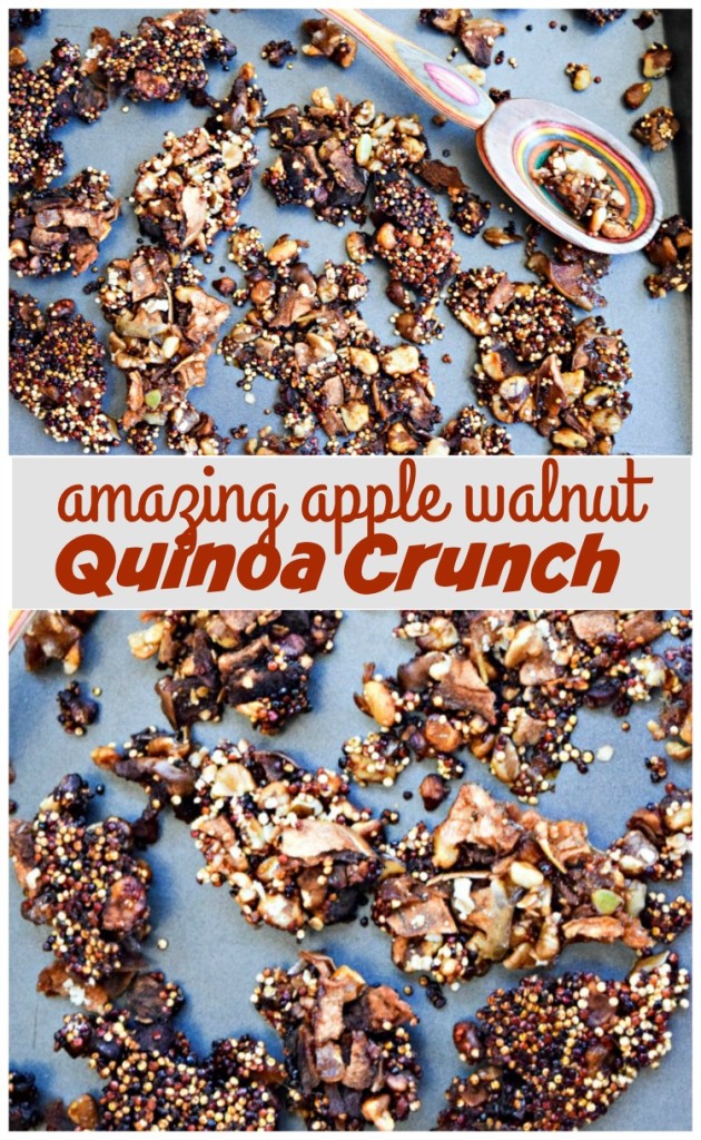 Apple Walnut Quinoa Crunch is a healthy alternative to peanut brittle candy -- it packs a bit of protein from the ancient grain Quinoa and is dairy-free, gluten-free and made without traditional corn syrup (only a touch of coconut sugar and 100 percent apple cider)