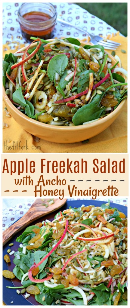 Apple Freekah Salad with Amcho Honey Vinaigrette makes a hearty yet healthy salad pack with whole grains, fruits and seeds for a light lunch or dinner. The southwestern-inspired ancho dressing gives a little kick to the sweet!