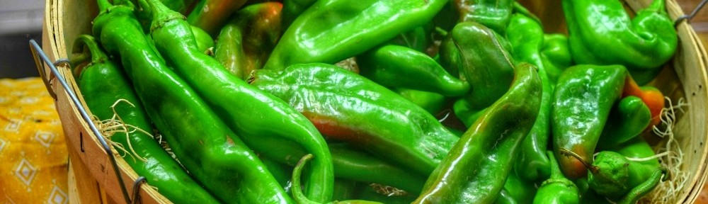 101 Ways to Use Hatch Green Chile