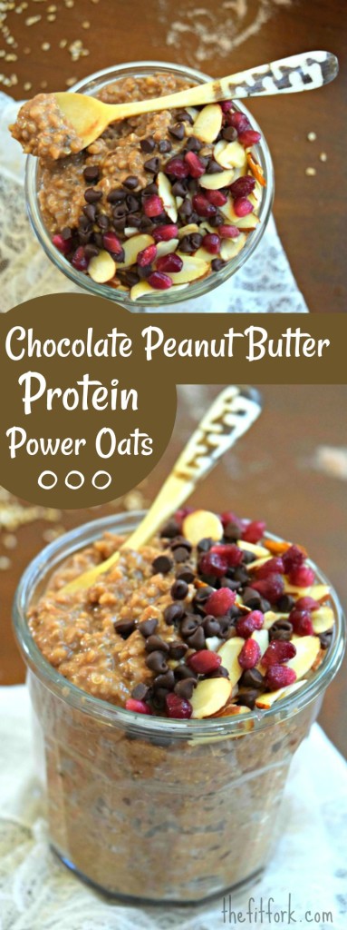 Chocolate Peanut Butter Power Oats with Life Time Protein | thefitfork.com