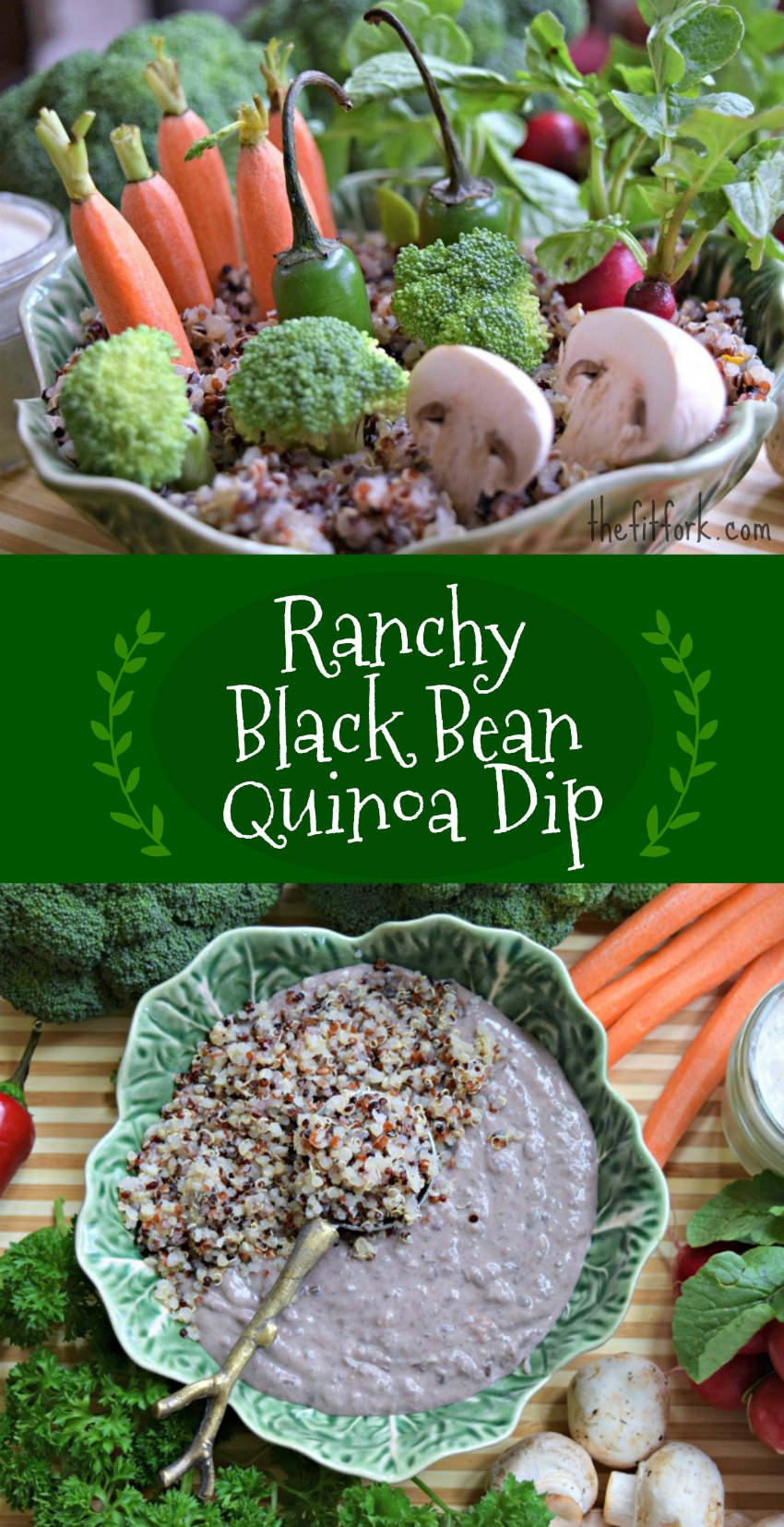 Ranchy Black Bean Quinoa Dip
