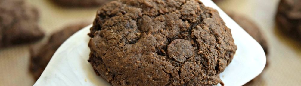 Low Carb Mexican Double Chocolate Chip Cookies