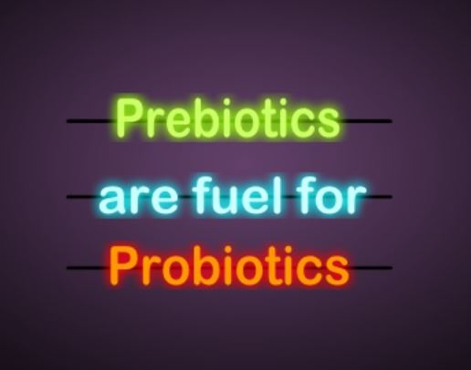 prebiotics are fuel for probiotics