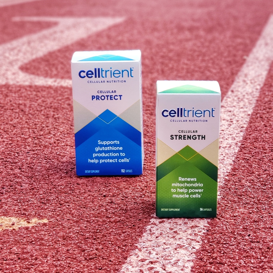 Celltrient - Strength and Protect formulas to help support cells a and promote healthy aging.