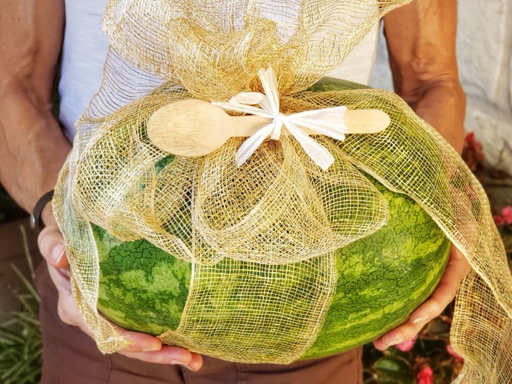 Put a bow on a watermelon for the perfect hostess gift, neighbor gift or fit foodie gift suitable for any time of year!
