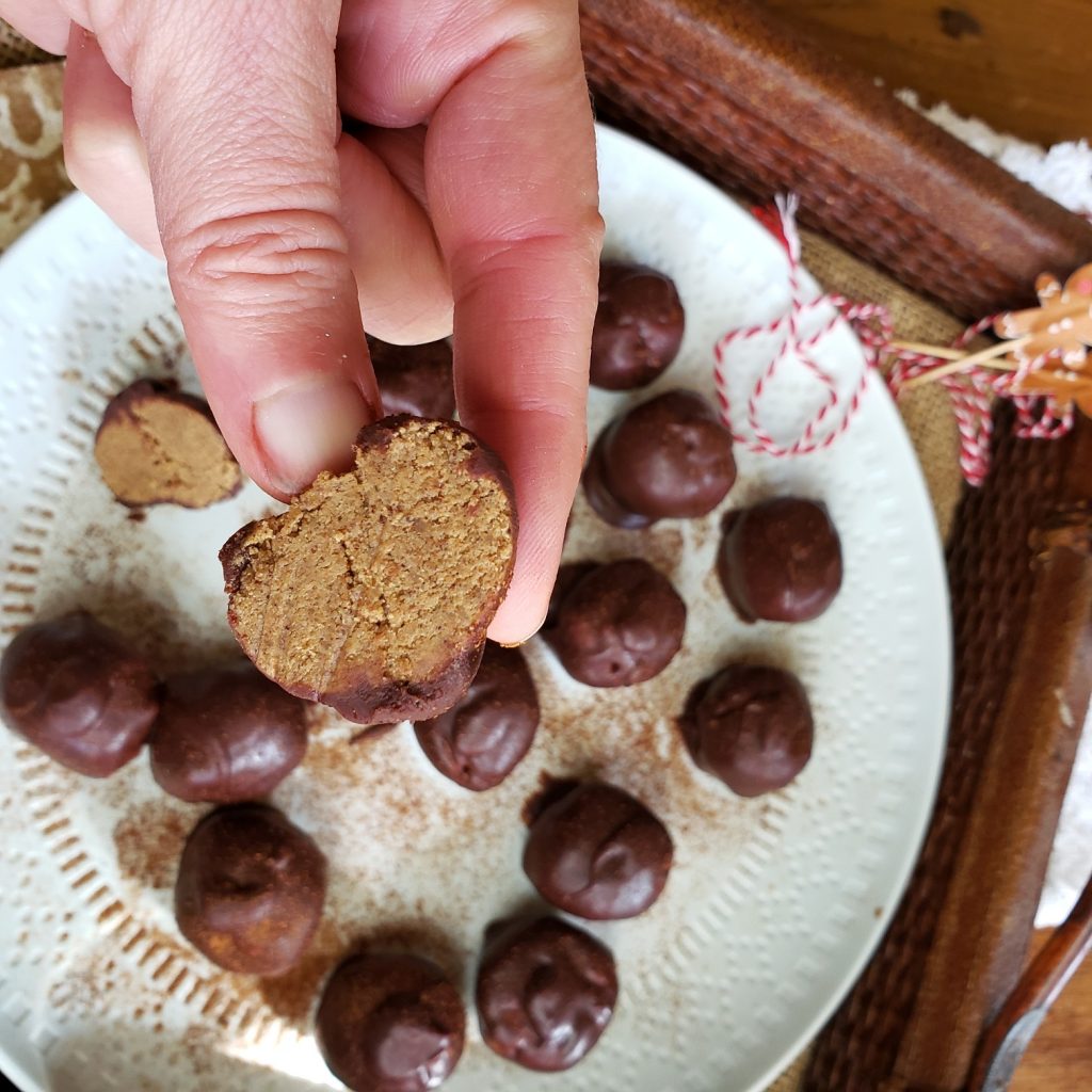 Low Carb Chocolate Gingerbread Protein Truffles - suitable for vegan, paleo, keto, and gluten free diets.