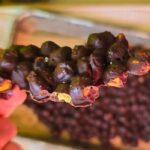 Chocolate Peanut Butter Chickpea Bark on tray, holding up a broken piece to show roasted chickpeas coated in melted sugar-free chocolate and peanut butter.